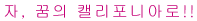 디즈니 캘리포니아 어드벤처 파크