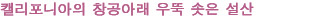 그 유명한 영화의 세계로 빠져보자.