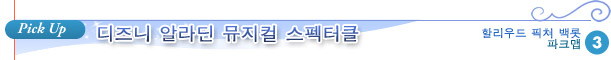 디즈니 알라딘 뮤지컬 스펙터클