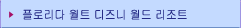 플로리다 월트 디즈니 월드에 대하여
